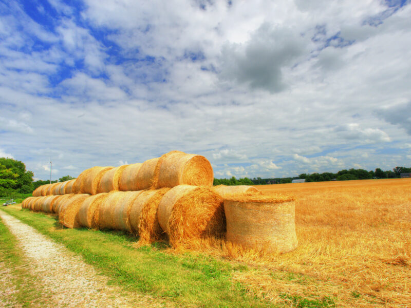 Klimaatakkoord Landbouw en Landgebruik